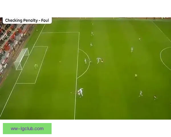 2024美洲杯裁判现场解说通过广播公布VAR判罚结果